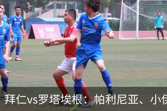 拜仁vs罗塔埃根：帕利尼亚、小伊布出战，比绍夫、帕维奇首发